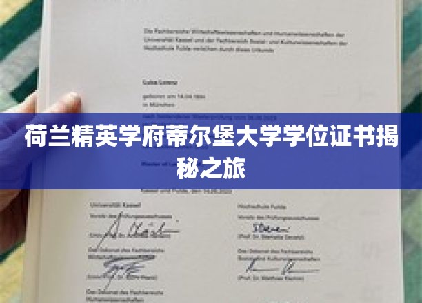 探寻蒂尔堡大学学位证书背后的精英奥秘