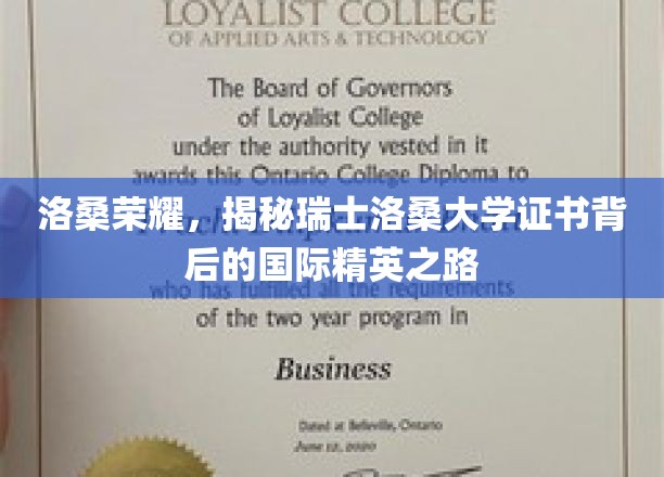 瑞士洛桑大学证书之光，探寻国际精英的荣耀之路