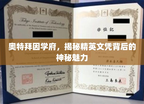 奥特拜因学府，揭秘精英文凭背后的神秘魅力