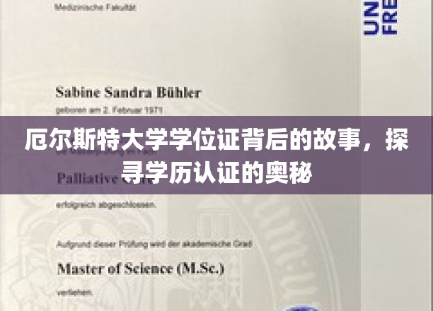 揭秘厄尔斯特大学学位证，学历认证背后的传奇之旅