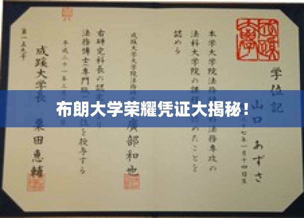 布朗大学荣耀凭证大揭秘！