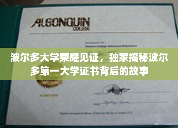 波尔多大学传奇证书，探寻第一大学荣耀背后的秘密之旅