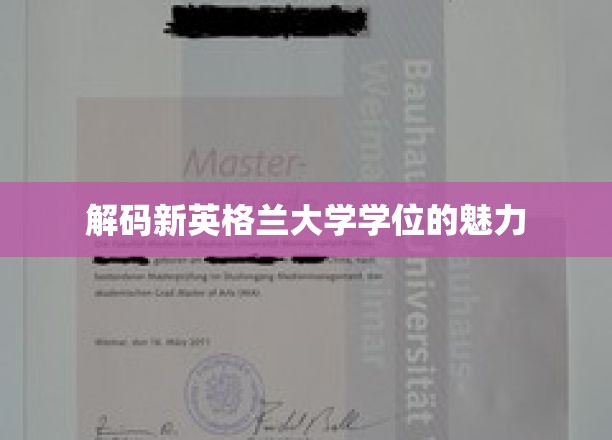探索新英格兰大学学位的独特吸引力