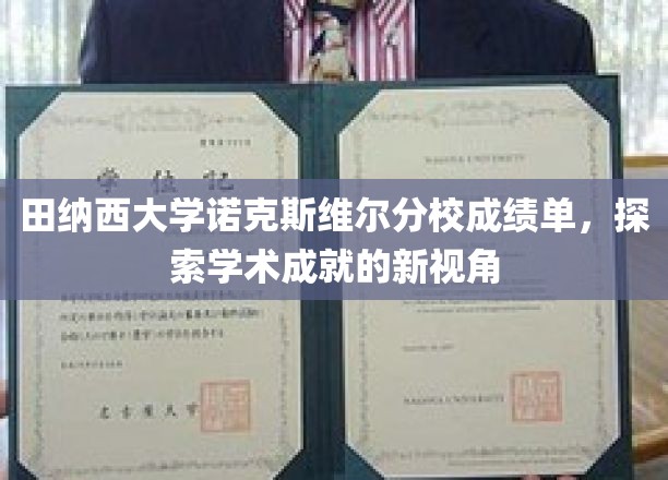 解锁田纳西大学学术奥秘，诺克斯维尔分校成绩单背后的故事