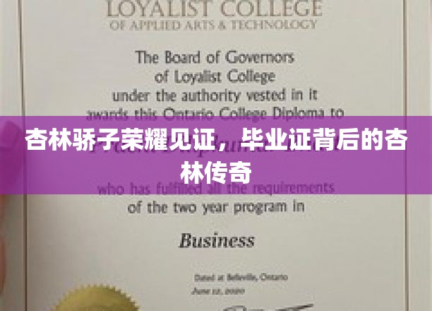 杏林英才荣耀绽放，毕业证映照下的杏林传奇之路