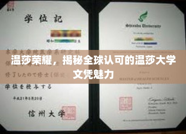 探寻温莎大学的国际魅力，全球认可的文凭背后的荣耀之谜