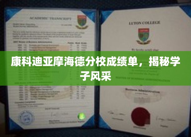 解码康科迪亚摩海德精英，学子风采大揭秘记