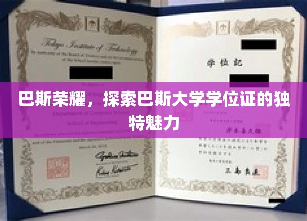 巴斯学位证，揭秘这座世界名校的独特文化印记