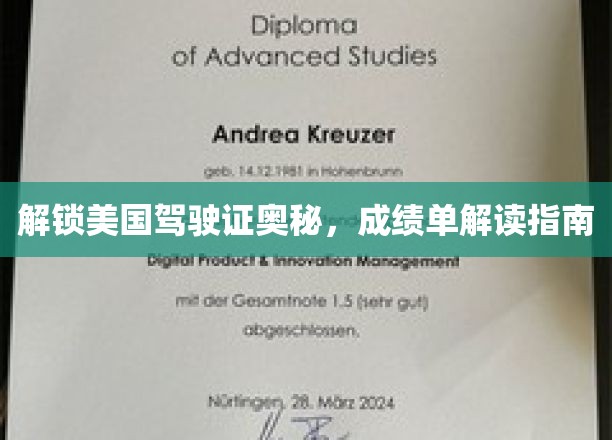 美国驾照通关秘籍，成绩单解读全攻略
