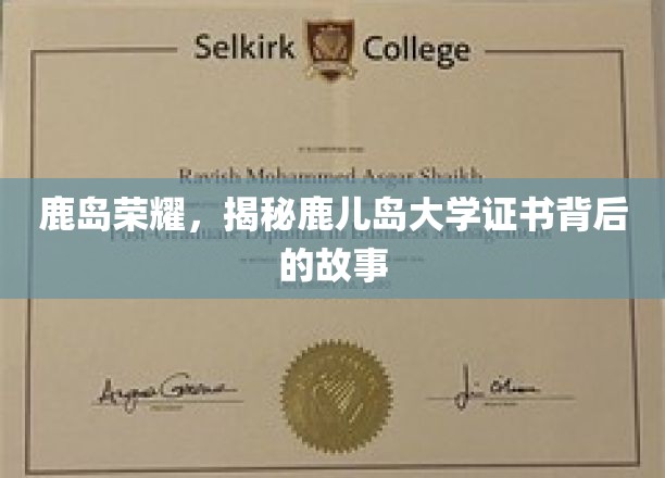 鹿岛传奇，探秘鹿儿岛大学证书背后的光辉历程