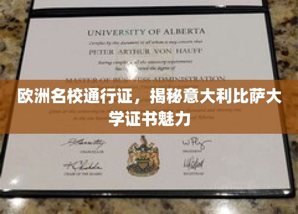 欧洲学府通行证，揭秘比萨大学证书的独特魅力