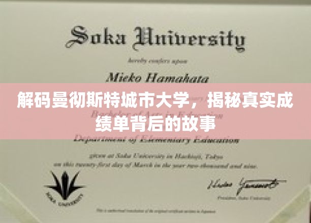 曼彻斯特大学成绩单揭秘，背后隐藏的惊人真相
