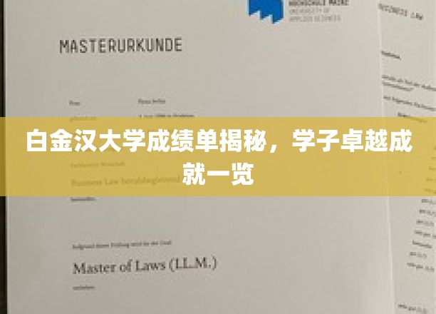 白金汉大学成绩单揭秘，学子卓越成就一览