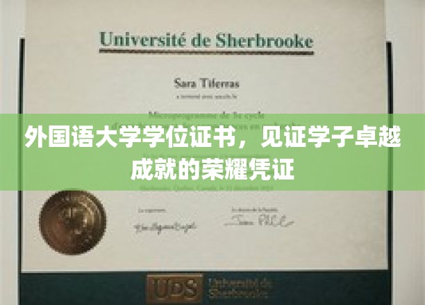 外国语大学学位证书，见证学子卓越成就的荣耀凭证