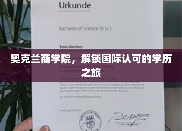 穿越奥克兰，开启全球认可的学历探险之旅