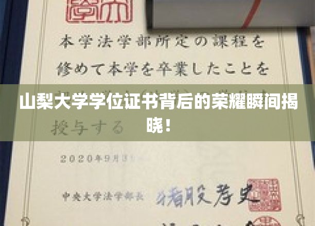 山梨大学荣耀瞬间，学位证书背后的非凡故事揭晓！