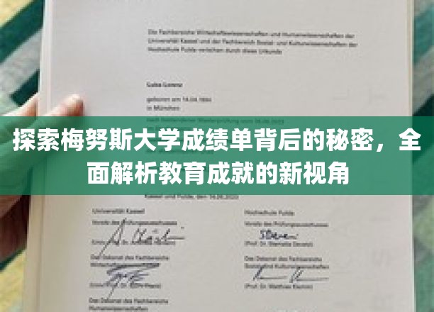 解码梅努斯大学成绩单，揭开学术成就的神秘面纱