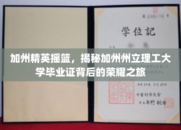 加州精英摇篮，揭秘加州州立理工大学毕业证背后的荣耀之旅