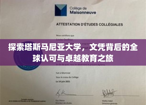 解锁塔斯马尼亚大学，全球通行证背后的教育奇迹