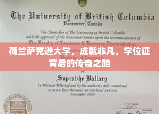 探索荷兰萨克逊大学的非凡成就，学位证背后的传奇历程揭秘