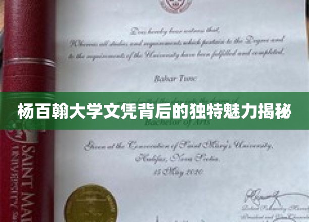 杨百翰大学文凭背后的独特魅力一瞥
