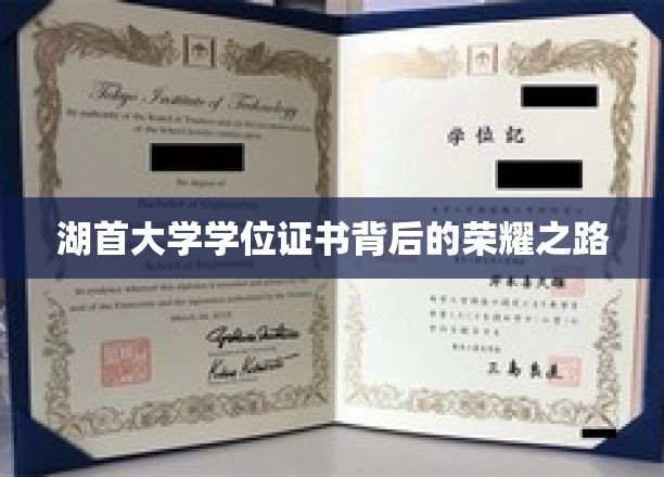 湖首大学学位证书背后的荣耀之路