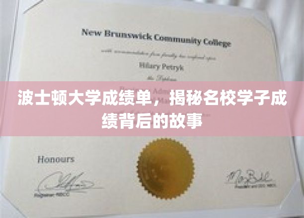 波士顿大学成绩单，揭秘名校学子成绩背后的故事