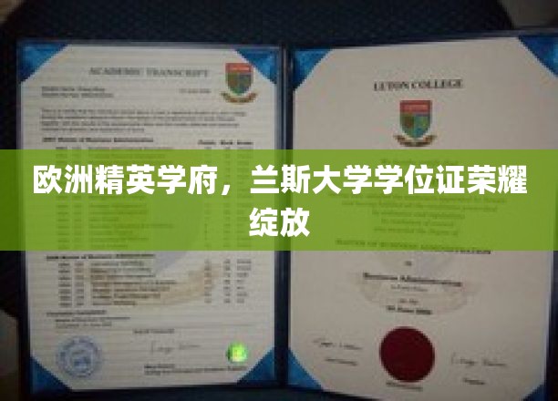 兰斯大学学位荣耀，欧洲精英学府之光闪耀全球