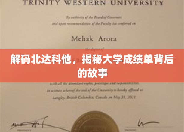 解码北达科他，揭示大学成绩单背后的故事