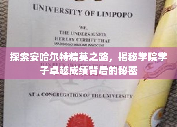 安哈尔特学院学霸养成记，揭秘卓越学子的成功秘籍