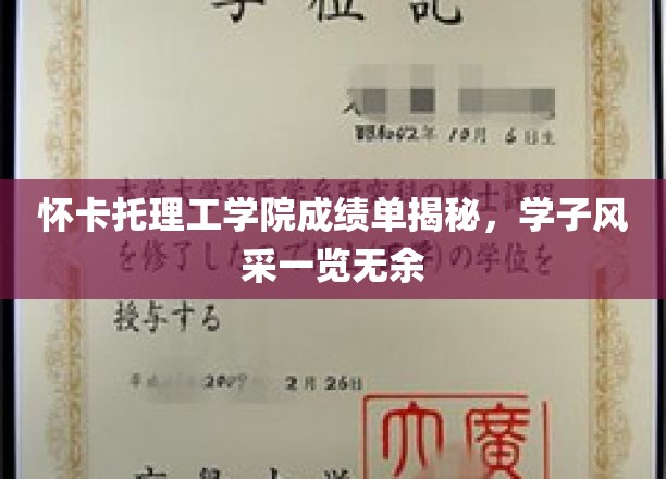 怀卡托理工学院成绩单揭秘，学子风采一览无余