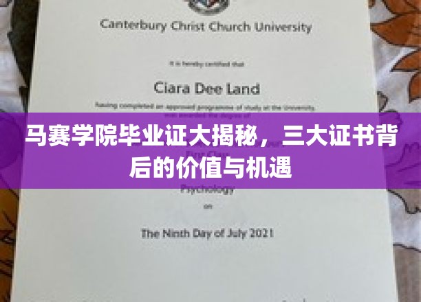 揭开马赛学院毕业证的秘密，三重证书背后的无限价值与机遇