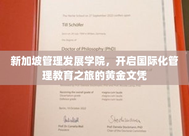 新加坡管理发展学院，铸就全球视野的黄金管理文凭之旅