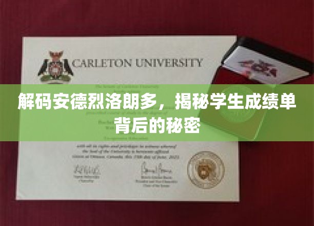 解码安德烈洛朗多，揭示学生成绩单背后的奥秘