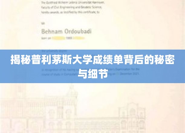 揭秘普利茅斯大学成绩单背后的秘密与细节