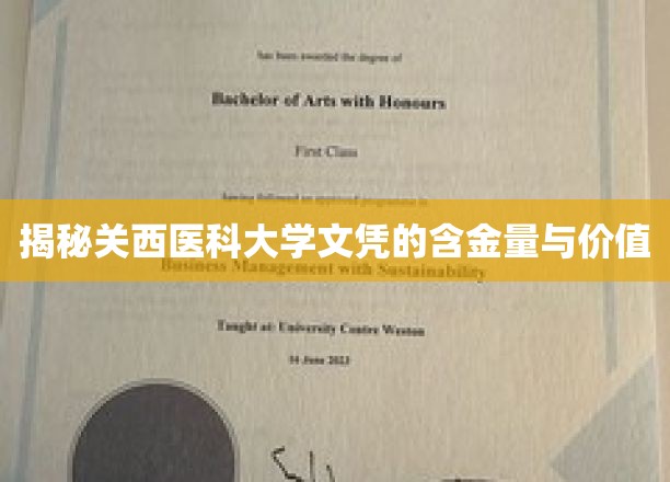 揭秘关西医科大学文凭的含金量与价值