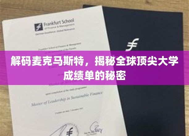 解锁麦克马斯特辉煌，一探世界名校成绩单背后的奥秘