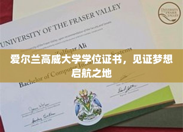 爱尔兰高威大学学位证书，见证梦想起航之地