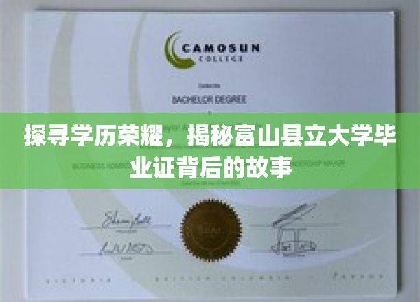 富山学历之谜，一纸大学证书，揭开背后的传奇故事