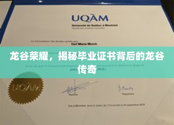 龙谷荣耀之谜，探寻毕业证书背后的传奇故事