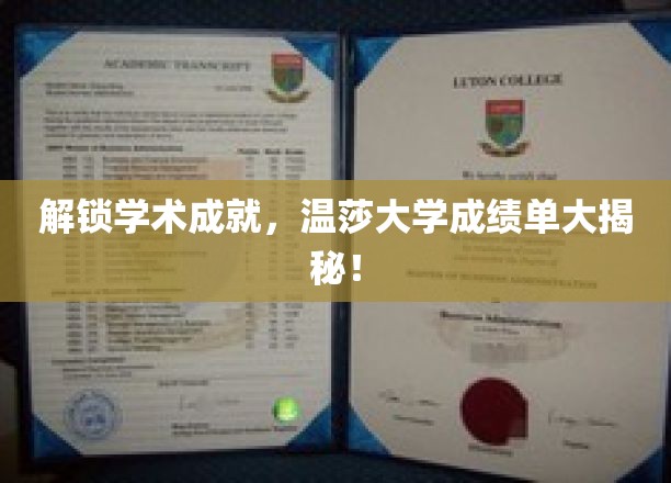 揭开温莎大学卓越成就的秘密，成绩单背后的故事