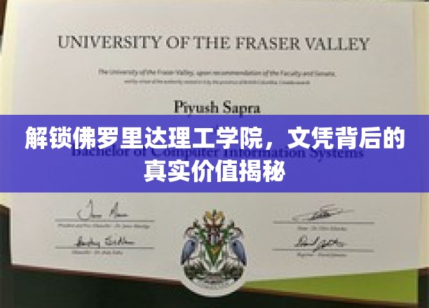佛罗里达理工学院文凭价值探秘，揭秘教育背后的非凡潜力