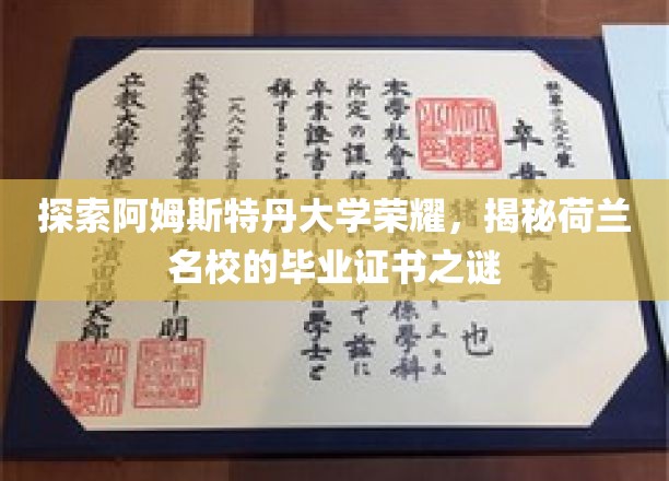 荷兰名校证书之谜，阿姆斯特丹大学荣耀探秘之旅