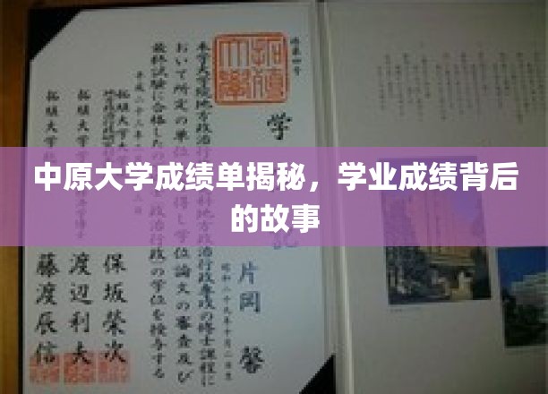 中原大学成绩单揭秘，学业成绩背后的故事