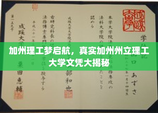 揭开梦想之门，加州州立理工大学真实文凭之旅