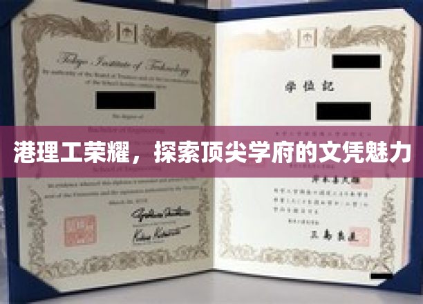 港理工之光，揭秘顶尖学位的非凡吸引力