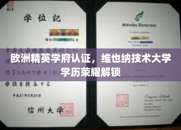 欧洲精英学府认证，维也纳技术大学学历荣耀解锁