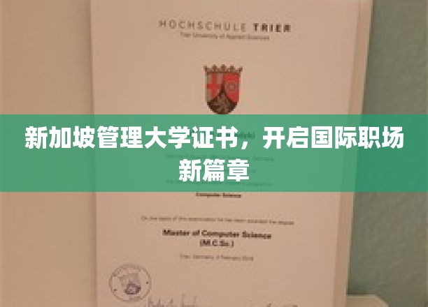 新加坡管理大学证书，开启国际职场新篇章