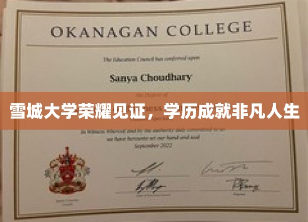 雪城荣耀，学历巅峰，成就非凡人生轨迹
