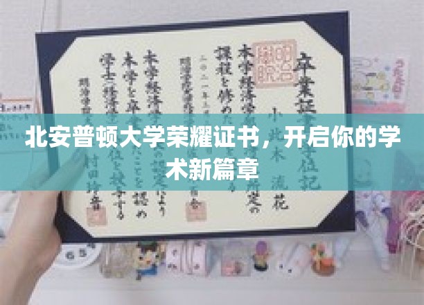 北安普顿荣耀通行证，开启非凡学术旅程